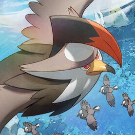 staraptor (pkmn)🌟